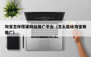 洛阳淘宝怎样搭建网站推广平台（怎么能给淘宝做推广）