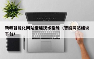 洛阳新泰智能化网站搭建技术指导（智能网站建设平台）
